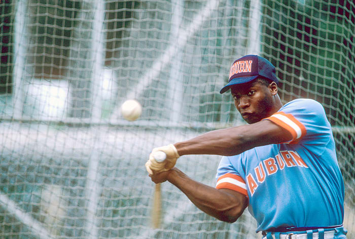 Bo knew baseball, too: 28 HRs with a .328 average at Auburn.